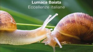 Scopri di più sull'articolo La Lumaca Baiata: eccellenza siciliana tra qualità e umanità