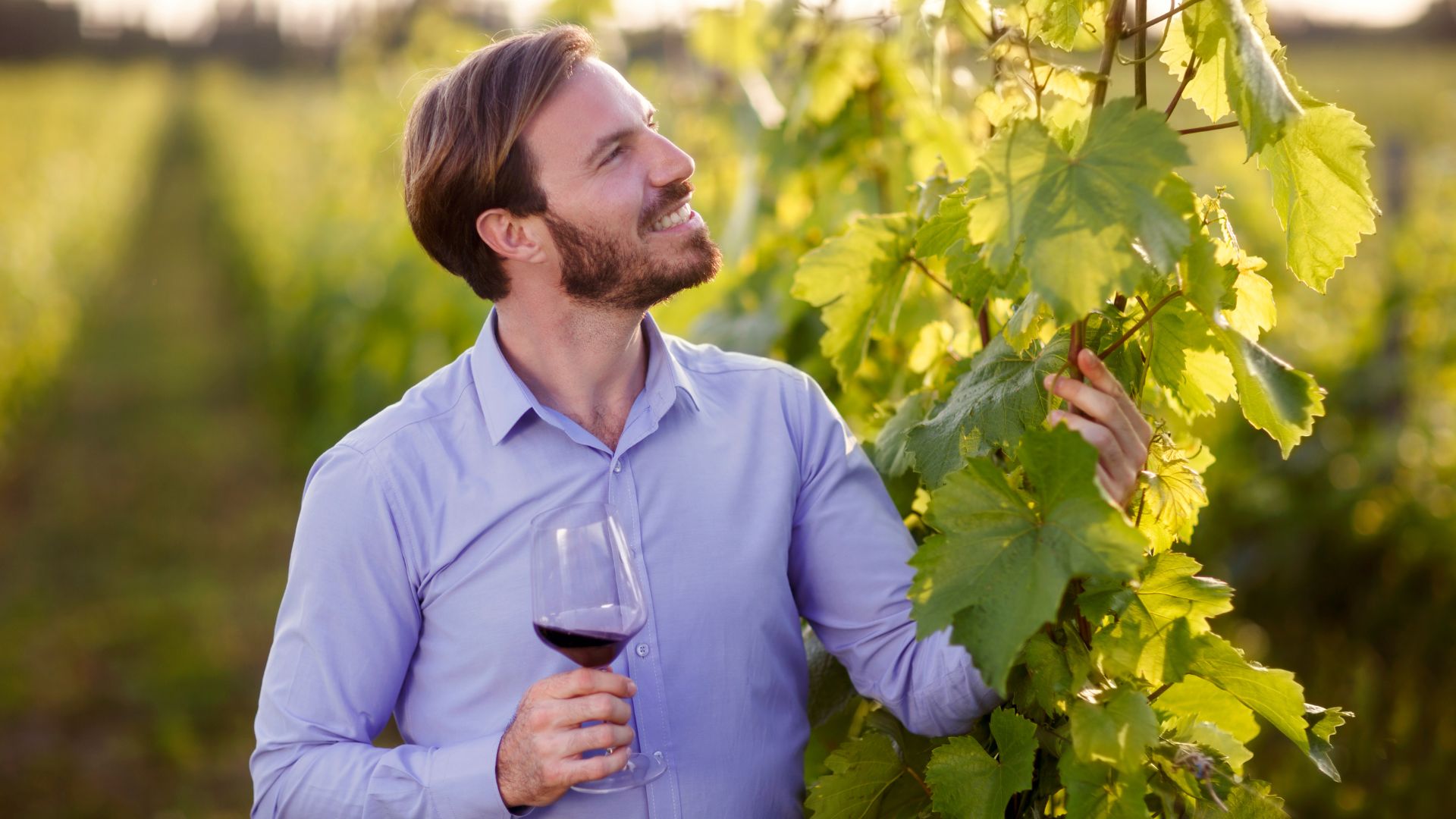 Al momento stai visualizzando Enoturismo 4.0: le cantine siciliane abbracciano la realtà aumentata