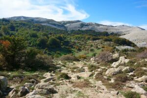 Scopri di più sull'articolo Madonie Outdoor Fest 2026: San Mauro Castelverde diventa la capitale del turismo lento in Sicilia
